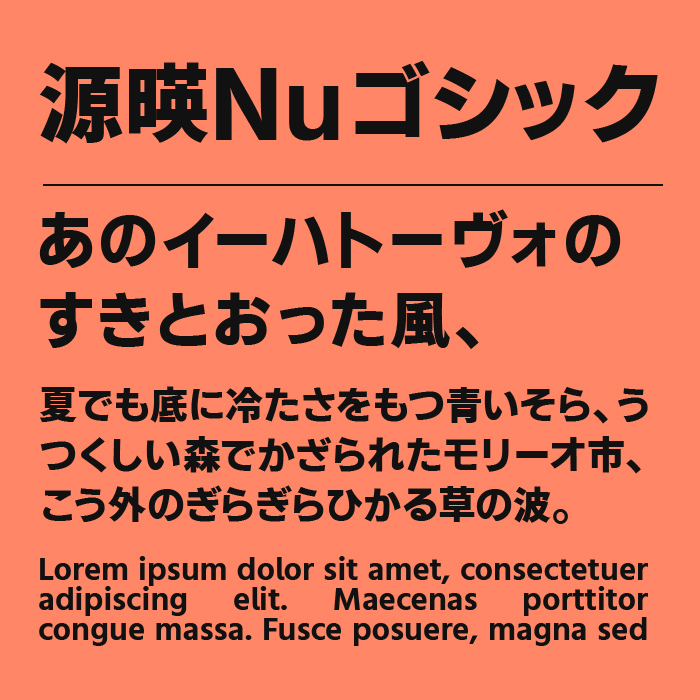 源暎Nuゴシック